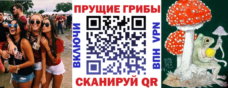 где найти   Красновишерск  Галлюциногенные грибы Psilocybe 